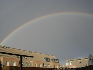 Rainbow Rainbow
